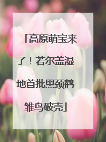 高原萌宝来了！若尔盖湿地首批黑颈鹤雏鸟破壳