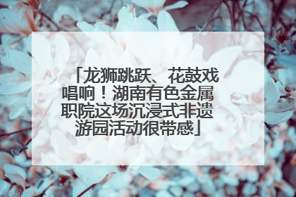 龙狮跳跃、花鼓戏唱响！湖南有色金属职院这场沉浸式非遗游园活动很带感
