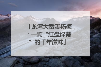龙湾大岙溪杨梅：一颗“红盘绿蒂”的千年滋味