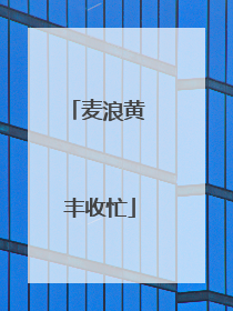 麦浪黄 丰收忙