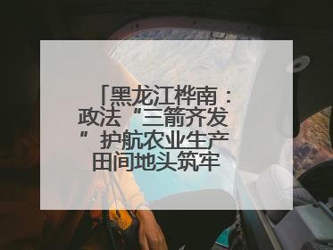 黑龙江桦南：政法“三箭齐发”护航农业生产 田间地头筑牢平安建设防线
