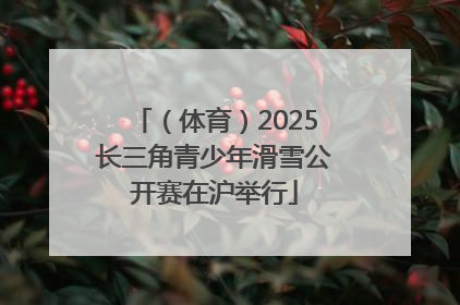（体育）2025长三角青少年滑雪公开赛在沪举行