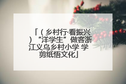 （乡村行·看振兴）“洋学生”做客浙江义乌乡村小学 学剪纸悟文化