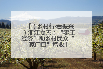（乡村行·看振兴）浙江嘉善：“零工经济”助乡村民众“家门口”增收