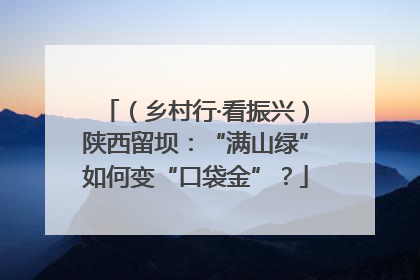 （乡村行·看振兴）陕西留坝：“满山绿”如何变“口袋金”？