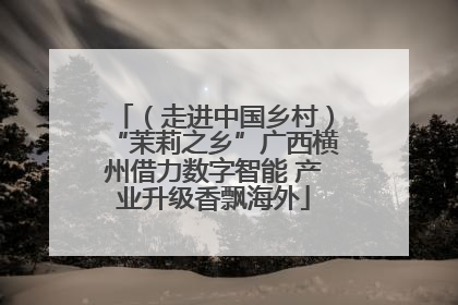 （走进中国乡村）“茉莉之乡”广西横州借力数字智能 产业升级香飘海外