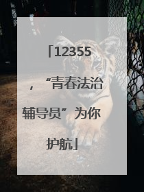 12355，“青春法治辅导员”为你护航