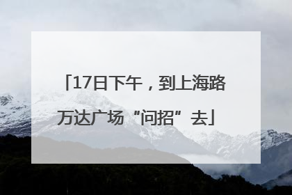 17日下午，到上海路万达广场“问招”去