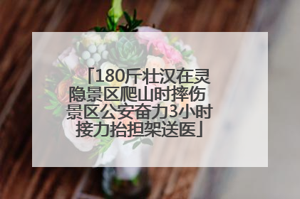 180斤壮汉在灵隐景区爬山时摔伤 景区公安奋力3小时接力抬担架送医