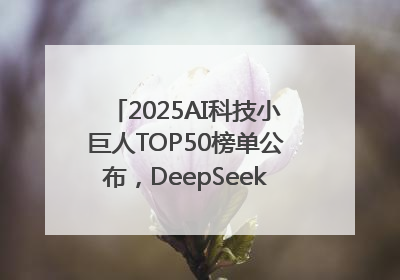 2025AI科技小巨人TOP50榜单公布，DeepSeek、宇树科技、蘑菇车联等企业荣誉上榜