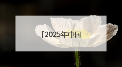 2025年中国网络文明大会落幕 湖北多项成果入选典型案例