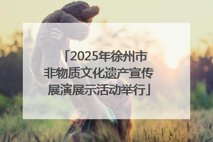 2025年徐州市非物质文化遗产宣传展演展示活动举行