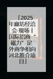 2025年廊坊经洽会·现场丨国际招商“磁力”足 外商争相向河北推介项目