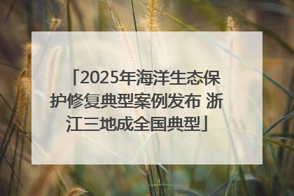 2025年海洋生态保护修复典型案例发布 浙江三地成全国典型