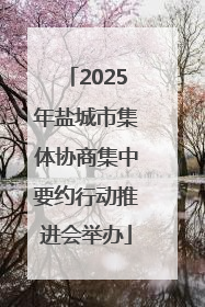 2025年盐城市集体协商集中要约行动推进会举办