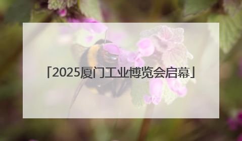 2025厦门工业博览会启幕