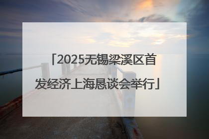 2025无锡梁溪区首发经济上海恳谈会举行