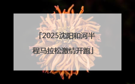 2025沈阳和河半程马拉松激情开跑