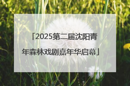 2025第二届沈阳青年森林戏剧嘉年华启幕