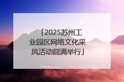 2025苏州工业园区网络文化采风活动圆满举行