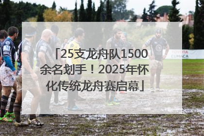 25支龙舟队1500余名划手！2025年怀化传统龙舟赛启幕
