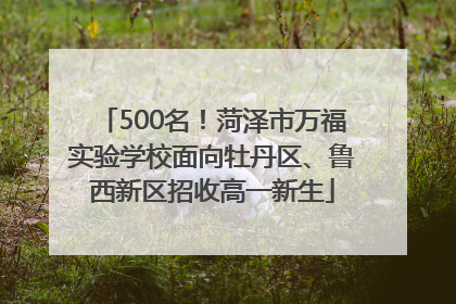 500名！菏泽市万福实验学校面向牡丹区、鲁西新区招收高一新生