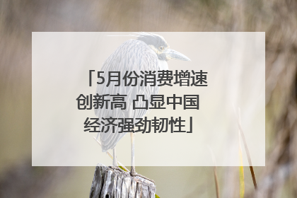 5月份消费增速创新高 凸显中国经济强劲韧性