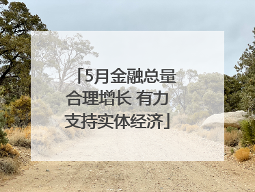 5月金融总量合理增长 有力支持实体经济