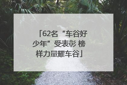 62名“车谷好少年”受表彰 榜样力量耀车谷