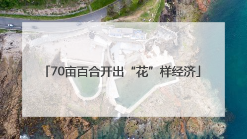 70亩百合开出“花”样经济