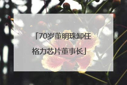 70岁董明珠卸任格力芯片董事长
