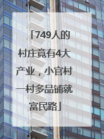 749人的村庄竟有4大产业，小官村一村多品铺就富民路