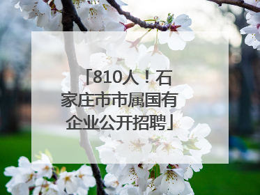810人！石家庄市市属国有企业公开招聘