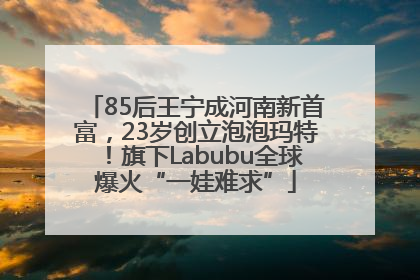 85后王宁成河南新首富，23岁创立泡泡玛特！旗下Labubu全球爆火“一娃难求”
