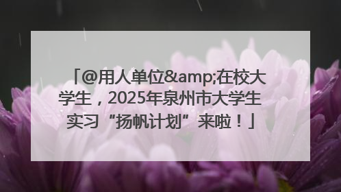 @用人单位&在校大学生，2025年泉州市大学生实习“扬帆计划”来啦！
