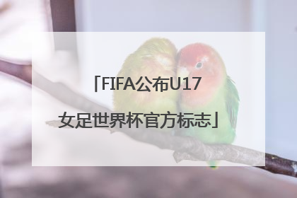 FIFA公布U17女足世界杯官方标志