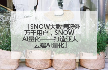 SNOW大数据服务万千用户，SNOW AI量化——打造亚太云端AI量化